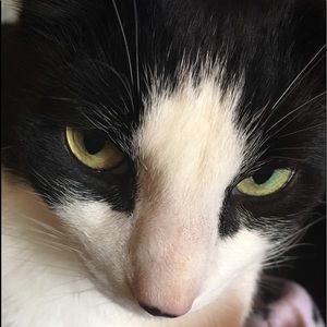 Meet your Posher, Andee